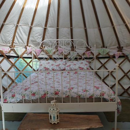 Mill Haven Place Glamping-Yurt 1 Talbenny Luaran gambar