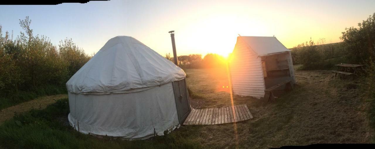 Mill Haven Place Glamping-Yurt 1 Talbenny Luaran gambar