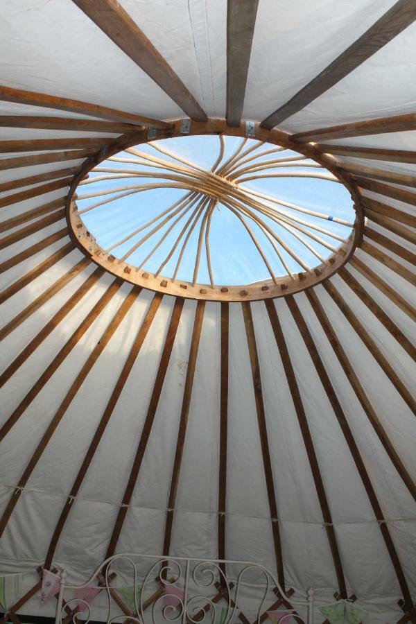 Mill Haven Place Glamping-Yurt 1 Talbenny Luaran gambar
