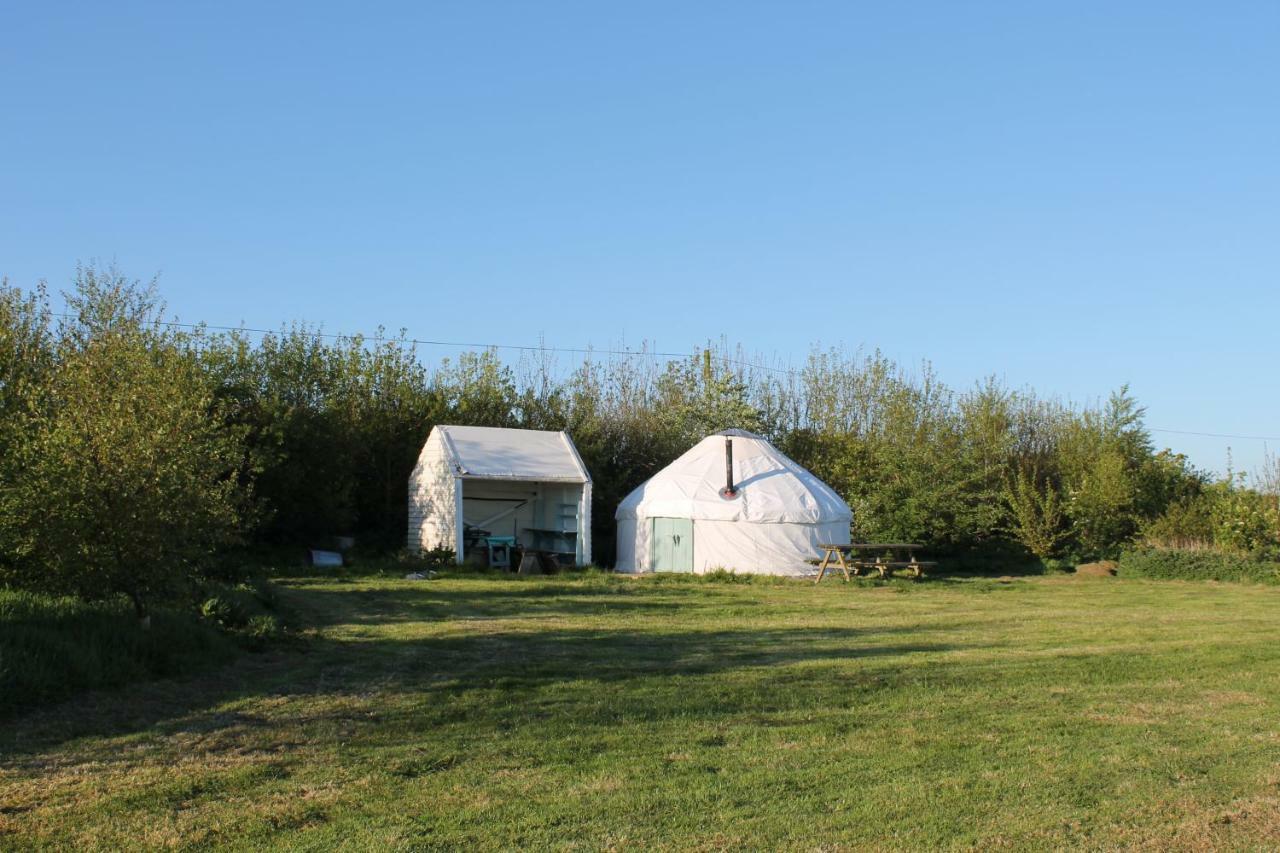 Mill Haven Place Glamping-Yurt 1 Talbenny Luaran gambar