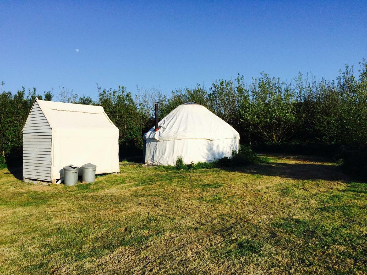 Mill Haven Place Glamping-Yurt 1 Talbenny Luaran gambar